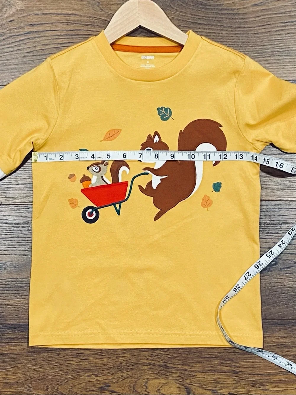 Gymboree Boys ‘Happy Harvest’ Gold and White Top with Striped Socks Size 6